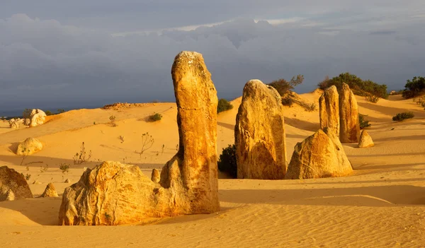 The Pinnacles — Stock Photo, Image