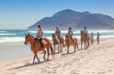 CAPE TOWN, SOUTH AFRICA - SEPTEMBER 16, 2021: A group of unidentified horse riders on Long Beach in the Cape Peninsula, South Africa. clipart