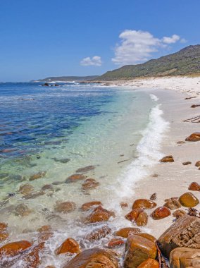 Güney Afrika, Cape Peninsula 'daki Masa Dağı Ulusal Parkı' nın Ümit Burnu 'ndaki kıyı manzarası..
