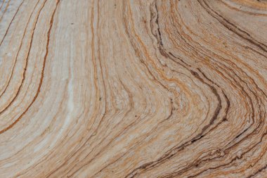 Güney Afrika 'nın batısındaki Table Mountain Ulusal Parkı' ndaki bir derede köpüğün soyut görüntüsü..