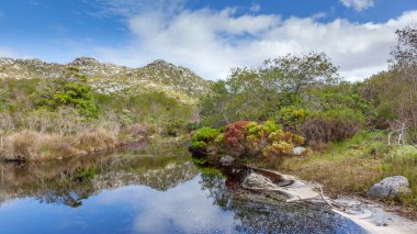Güney Afrika 'daki Cape Town yakınlarındaki Masa Dağı Ulusal Parkı' nın Silvermine bölgesinde bir havuz..
