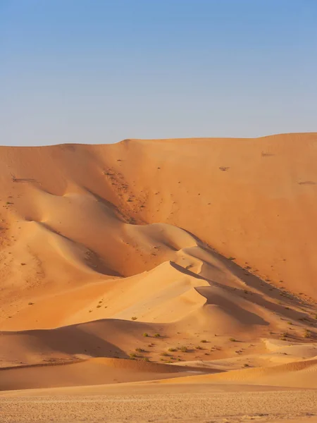 Dune Landscape Rub Khali Empty Quarter Straddling Oman Saudi Arabia — Stock Photo, Image
