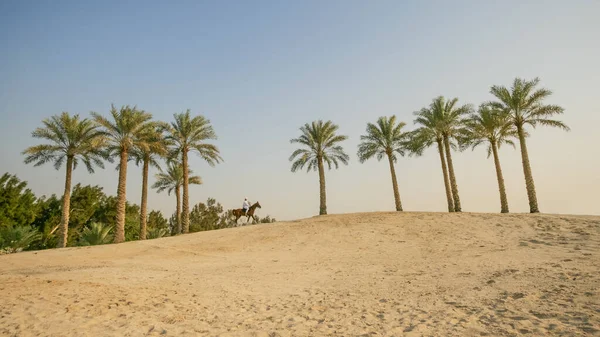 Dubai Vae Februar 2005 Ein Arabischer Reiter Überquert Mit Seinem — Stockfoto