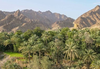 Wadi Maydaq, Fujairah 'ın Hajar Dağları' nda, Birleşik Arap Emirlikleri 'nde. Vadi, terk edilmiş Maydaq Kalesi tarafından korunuyor. Su alanının en gelişmiş tarım alanının ortasında yer alan bir gözetleme kulesi..