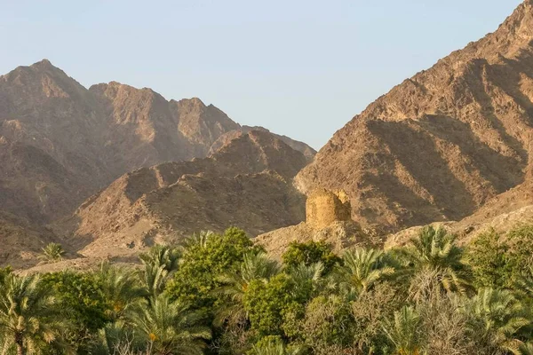 Wadi Maydaq Hajar Mountains Fujairah United Arab Emirates Wadi Guarded — Stock Photo, Image