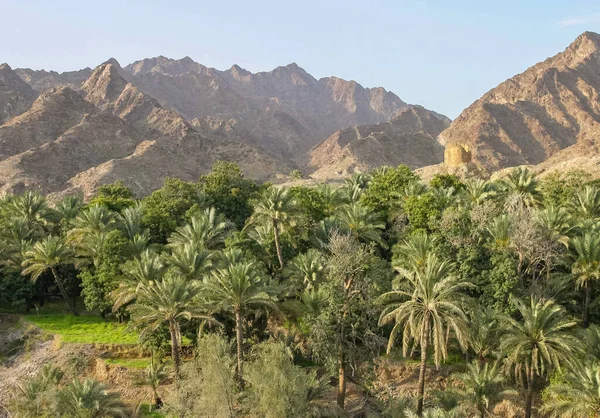 Wadi Maydaq Hajar Mountains Fujairah United Arab Emirates Wadi Guarded — Stock Photo, Image