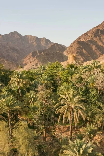 Wadi Maydaq Hajar Mountains Fujairah United Arab Emirates Wadi Guarded — Stock Photo, Image