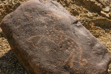 Birleşik Arap Emirlikleri 'ndeki Fujairah Emirliği' ndeki Wadi Al Hayl 'de benekli bir sırtlan ya da leopara benzeyen muhteşem bir petroglyph..