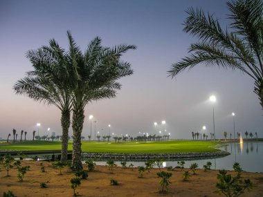 Ras Al Khaimah 'daki Tower Links Golf Pisti, bir mangrov rezervinin etrafında dönen 18 deliğin 11' i ile BAE 'nin kuzey emirliklerinin en önemli golf sahası konumundadır..