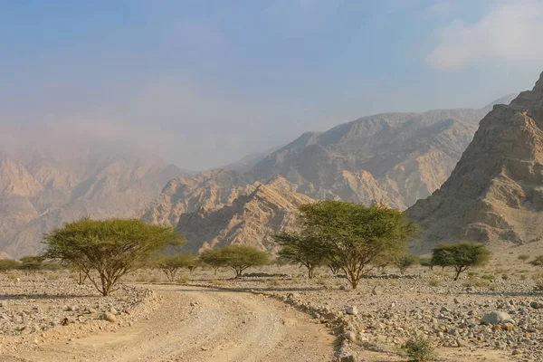 Szlak Żwirowy Biegnący Przez Wadi Pustyni Niedaleko Miasta Ras Khaimah — Zdjęcie stockowe