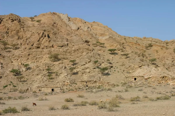 Alte Steinhäuser Einem Wadi Der Wüste Nahe Der Stadt Ras — Stockfoto