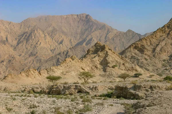 Wadi Desert City Ras Khaimah United Arab Emirates Hajar Mountains — Stock Photo, Image