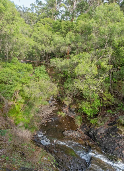 Beedelup Falls Pemberton Közelében Nyugat Ausztráliában Egy Fenséges Karri Erdő — Stock Fotó