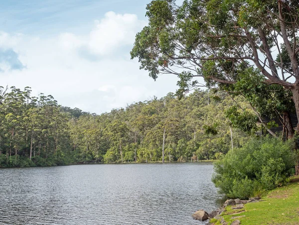 澳大利亚西部彭伯顿附近的比得拉普湖 四周环绕着宏伟的卡里森林 — 图库照片