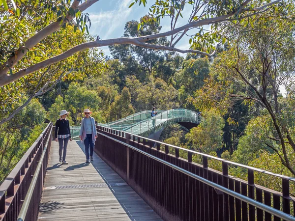 Perth Australia September 2022 Two Unidentified Women Walking Eucalypt Treetops — ストック写真