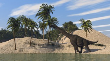 brachuosaurus kıyısında
