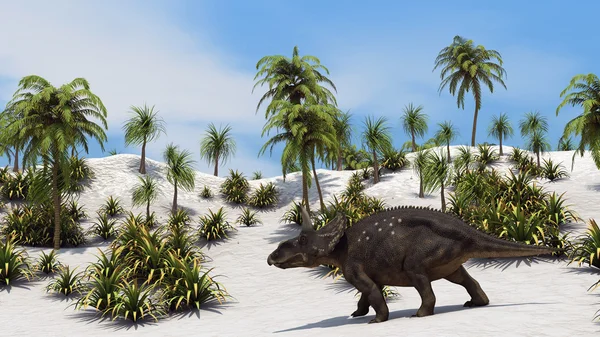 Diceratops kum arazi üzerinde — Stok fotoğraf