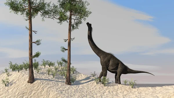 Brachiosaurus on shore — Stock Photo, Image