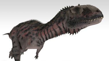 Majungasaurus