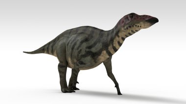 shuangmiaosaurus