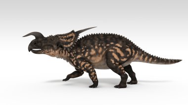 Einiosaurus