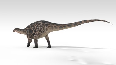 Dicraeosaurus