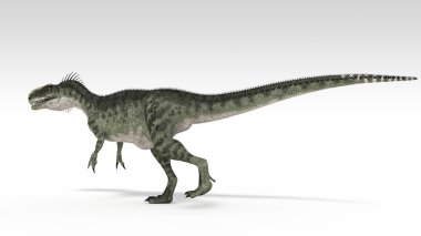 Monolophosaurus
