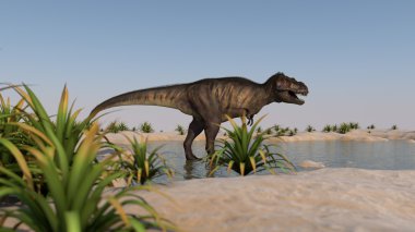 Tyrannosaurus kıyısında