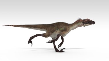 utahraptor