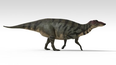 shuangmiaosaurus