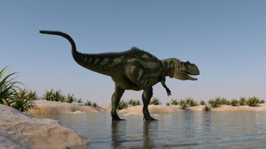 Tyrannosaurus kıyısında