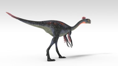 Gigantoraptor