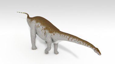 Apatosaurus