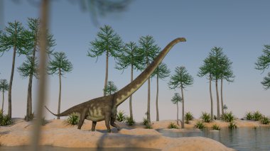araucaria Grove Mamenchisaurus