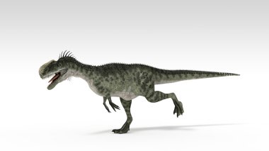 Monolophosaurus