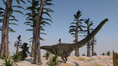 araucaria Grove Mamenchisaurus