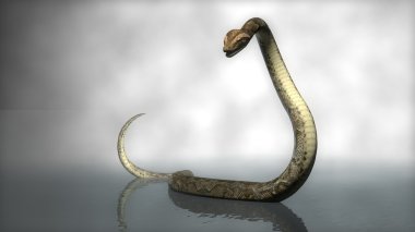 büyük fantezi python