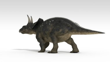 diceratops (triceratops)