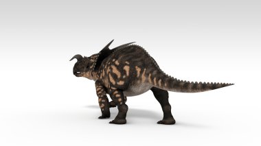 Einiosaurus