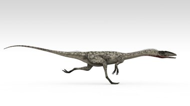 Coelophysis