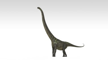 Mamenchisaurus