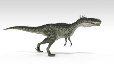 Monolophosaurus