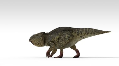 udanoceratops