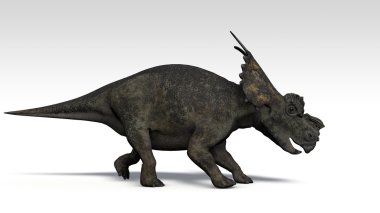 Achelousaurus