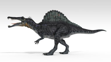 Spinosaurus
