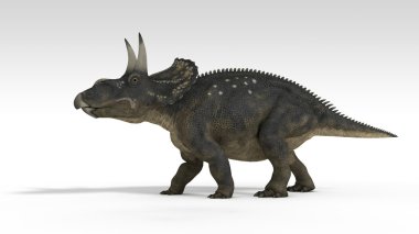 diceratops (triceratops)