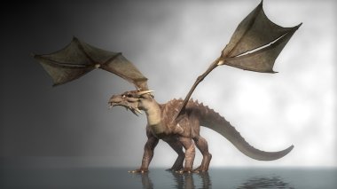 Sisin içinde Dragon