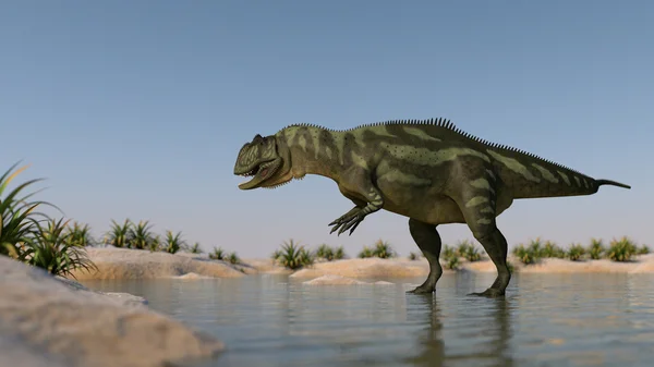 Tiranosaurio en la orilla — Foto de Stock