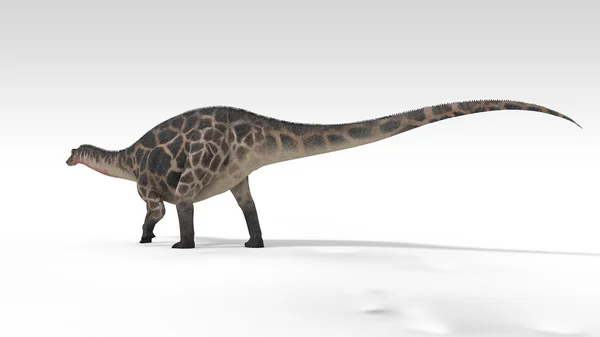 Dicraeosaurus — Stok fotoğraf