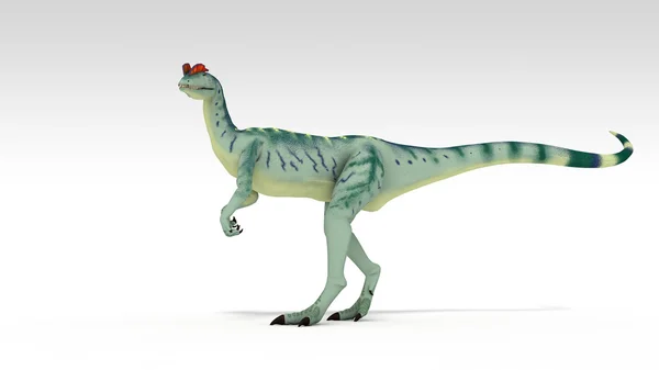 Dilophosaurus — Zdjęcie stockowe